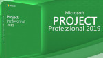 Microsoft Project Professional 2019