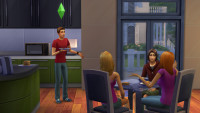 The SIMS 4