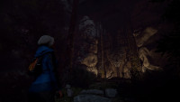 Through the Woods - Artbook