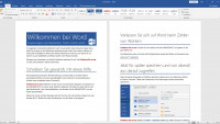 Microsoft Office Standard 2019 MAC Catalina