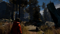 Through the Woods - Artbook