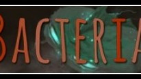 Bacteria