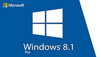 Windows 8.1 Professional 32/64 Bit