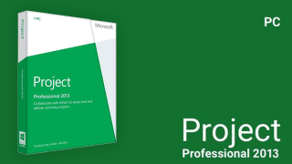 Microsoft Project Professional 2013