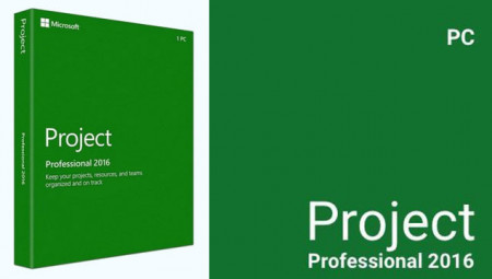 Microsoft Project Professional 2016