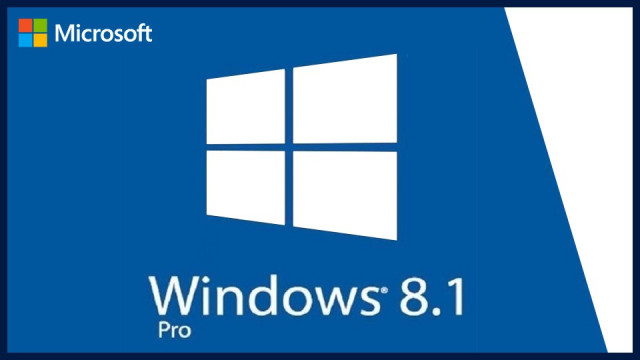 Windows 8.1 Professional 32/64 Bit